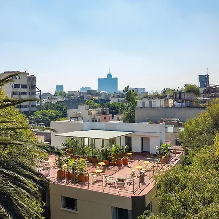 Nido Condesa-3